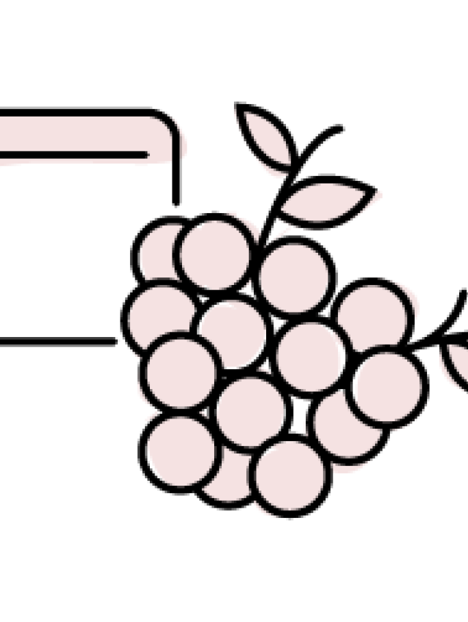 An illustration of a large, full bunch of grapes with leaves and vines, positioned next to a minimalist outline of a rectangular container or collection bin. This image directly represents the Harvest stage, the gathering of ripe grapes from the vineyard.
