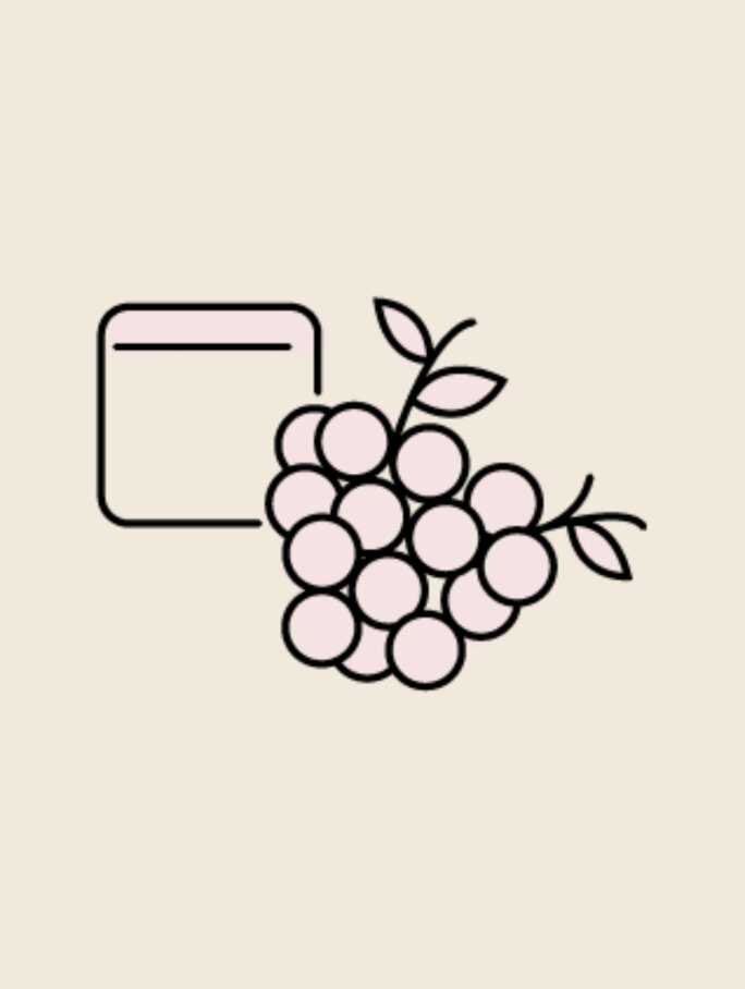 An illustration of a large, full bunch of grapes with leaves and vines, positioned next to a minimalist outline of a rectangular container or collection bin. This image directly represents the Harvest stage, the gathering of ripe grapes from the vineyard.
