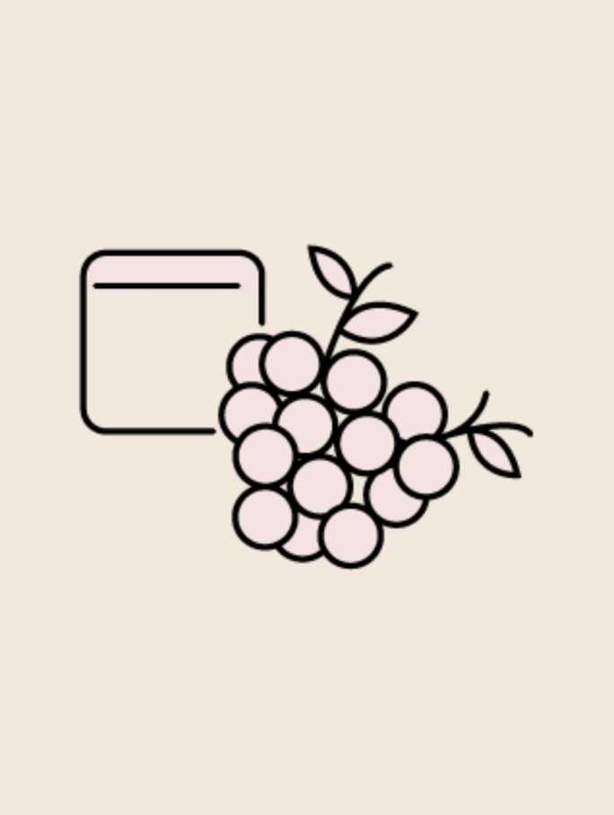 An illustration of a large, full bunch of grapes with leaves and vines, positioned next to a minimalist outline of a rectangular container or collection bin. This image directly represents the Harvest stage, the gathering of ripe grapes from the vineyard.