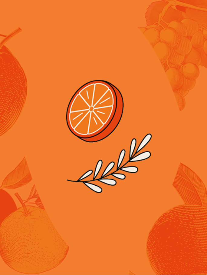 Illustration einer Orangenscheibe und eines Rosmarinzweigs, mit schwachen Umrissen von Früchten und Blättern im Hintergrund.