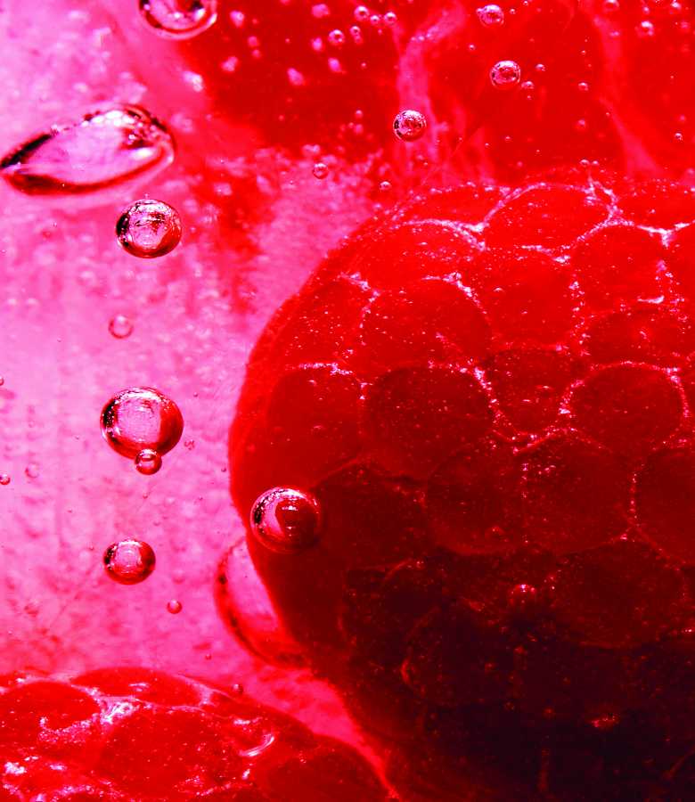 Gros plan d'une framboise immergée dans un liquide pétillant, de couleur rouge